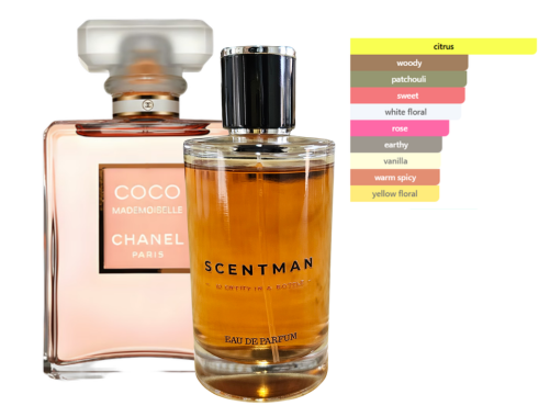 Perfume inspired by Coco Mademoiselle by Chanel - Female