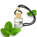 Minty Touch Car Fragrance