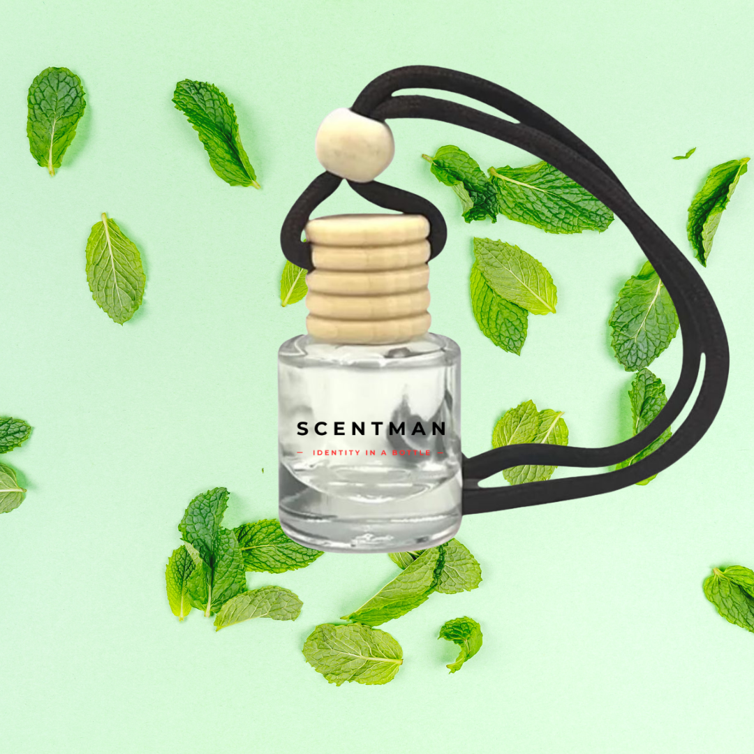 Car Diffusers - Strawberry, Vanilla, Minty Touch, Berry Breeze - IBO