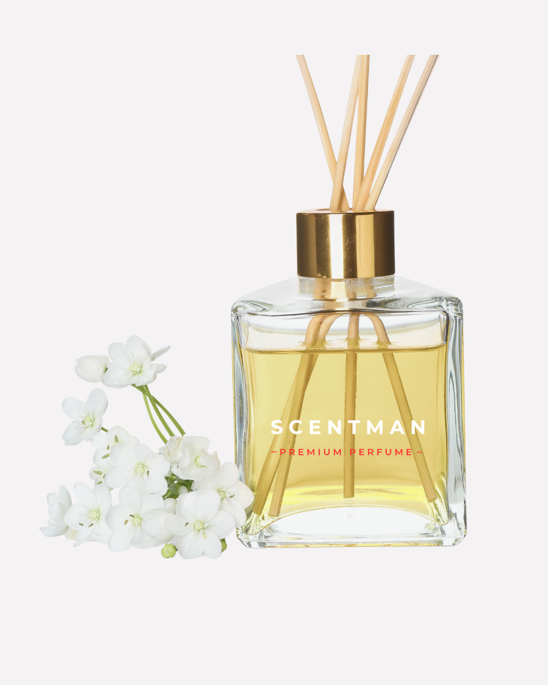 Lavender Essential Oil  - Fragrance Notes : Fresh - Aromatic